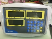 Đầu cân KC-R Tscales